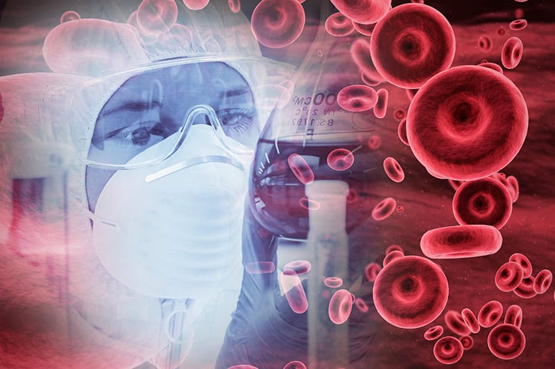 кръвта в тялото