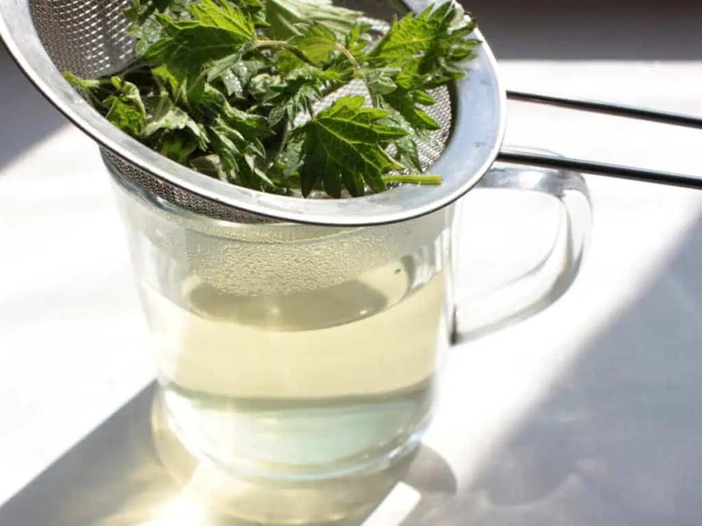 чай при анемия