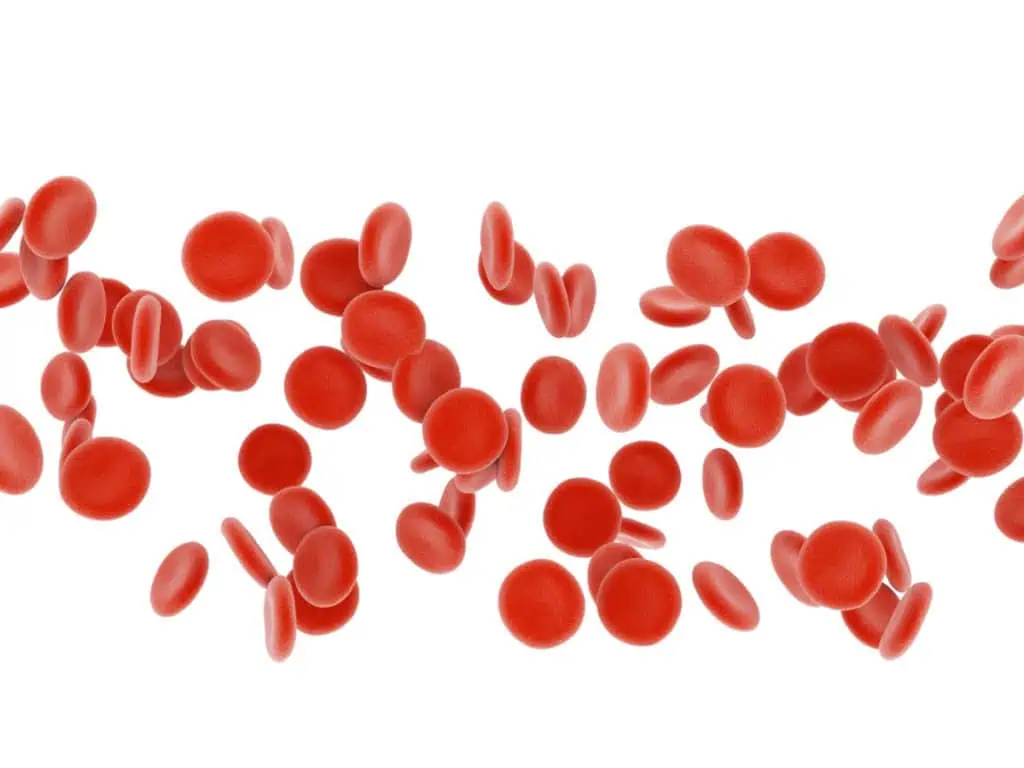 страда ли детето от анемия