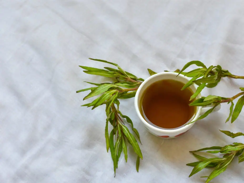 лечебни билки при анемия